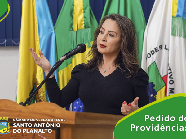 Vereadora pede que Prefeitura solucione problema no calçamento da Rua Adolfo Schneider