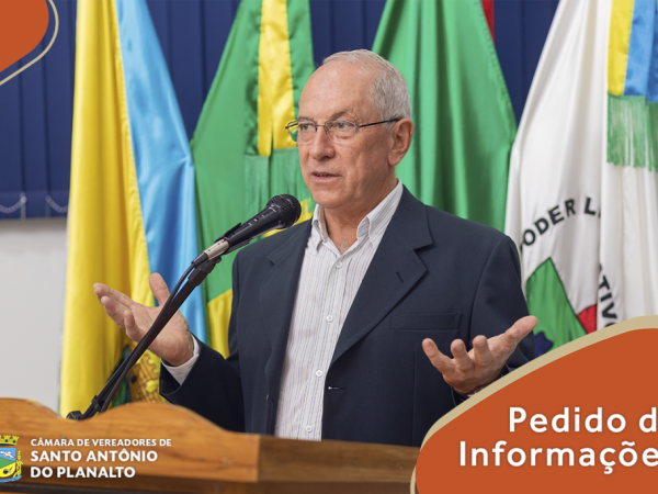 Vereador pede que prefeito esclareça sobre poda irregular das palmeiras na Avenida Jorge Muller